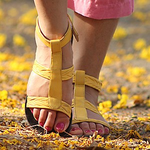 The Evening that Killed -I