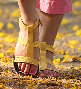 The Evening that Killed -I