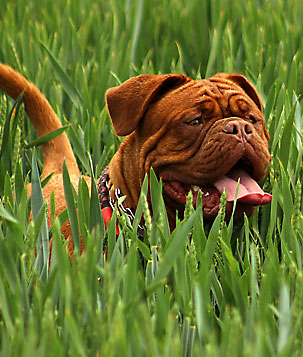 Image credit: Jan Steiner