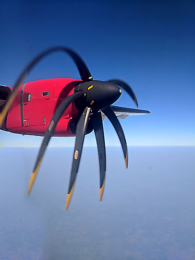 The fugitive 'Oumuamua