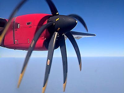 The fugitive 'Oumuamua