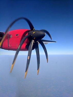 The fugitive 'Oumuamua